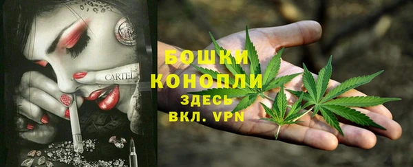 альфа пвп Саяногорск